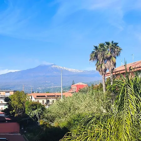 Apartmán Guesthost - Eden Oasis *